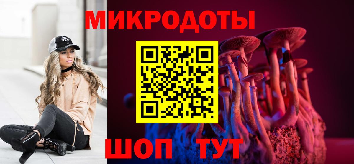 Галлюциногенные грибы Psilocybe Котлас