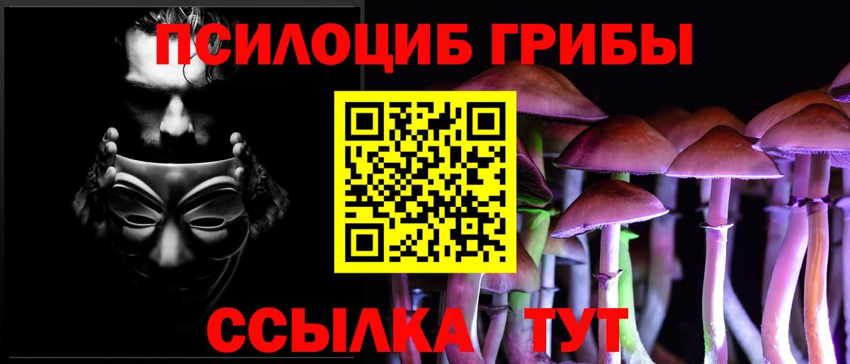 Котлас  Псилоцибиновые грибы Psilocybe  Вход с VPN 